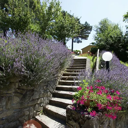 Comfortable With Terrace, Located In Nature Salecchio