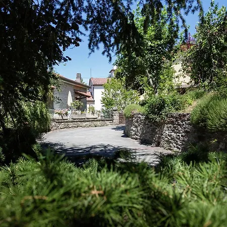 Hébergement de vacances Comfortable With Terrace, Located In Nature Salecchio